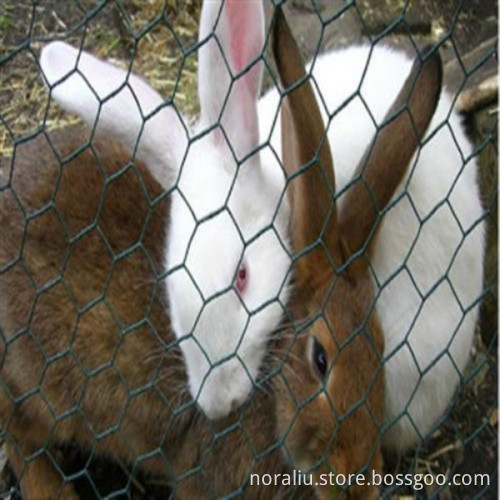 Hexagonal wire mesh or chicken poultry farms fence